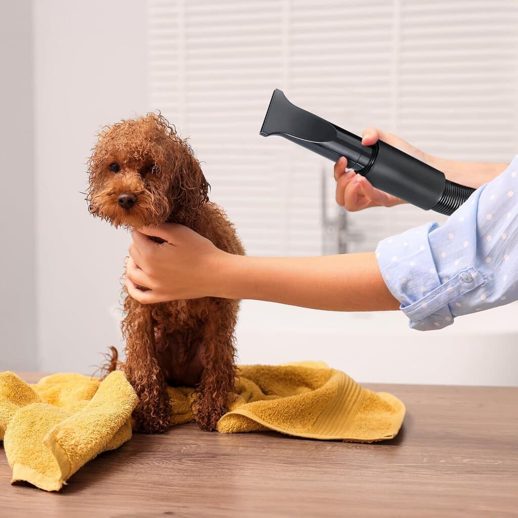 Professional pet Dryer 6