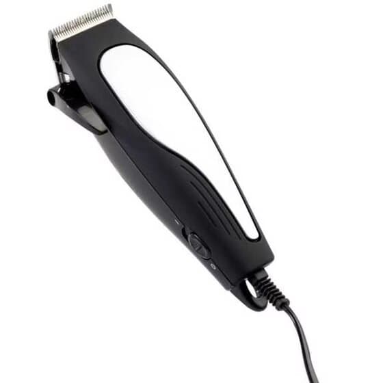 Clipper 1