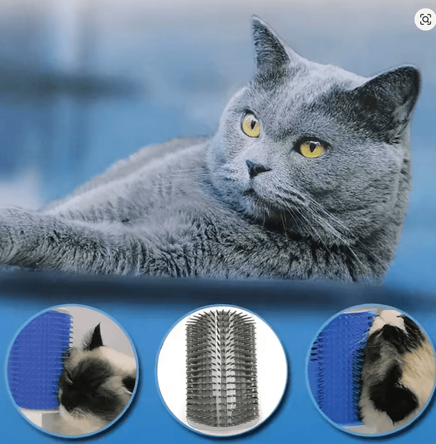 Double Brushes Soothing - 2pcs 5