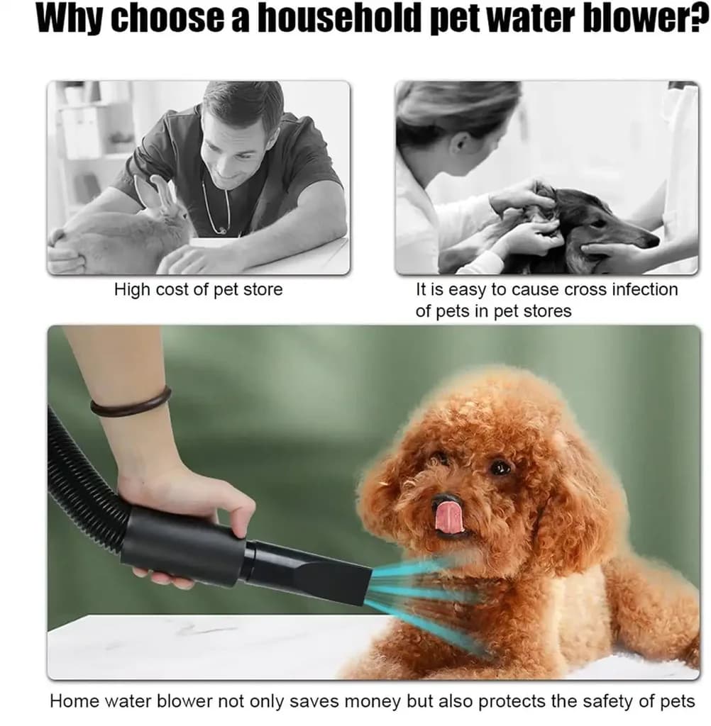 Hair Dryer 6