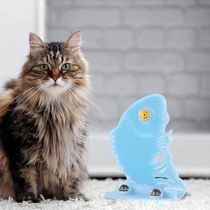 Cat Comb & Catnip Ball 6