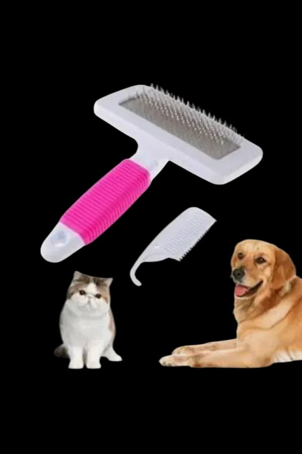 Pet Brush 1
