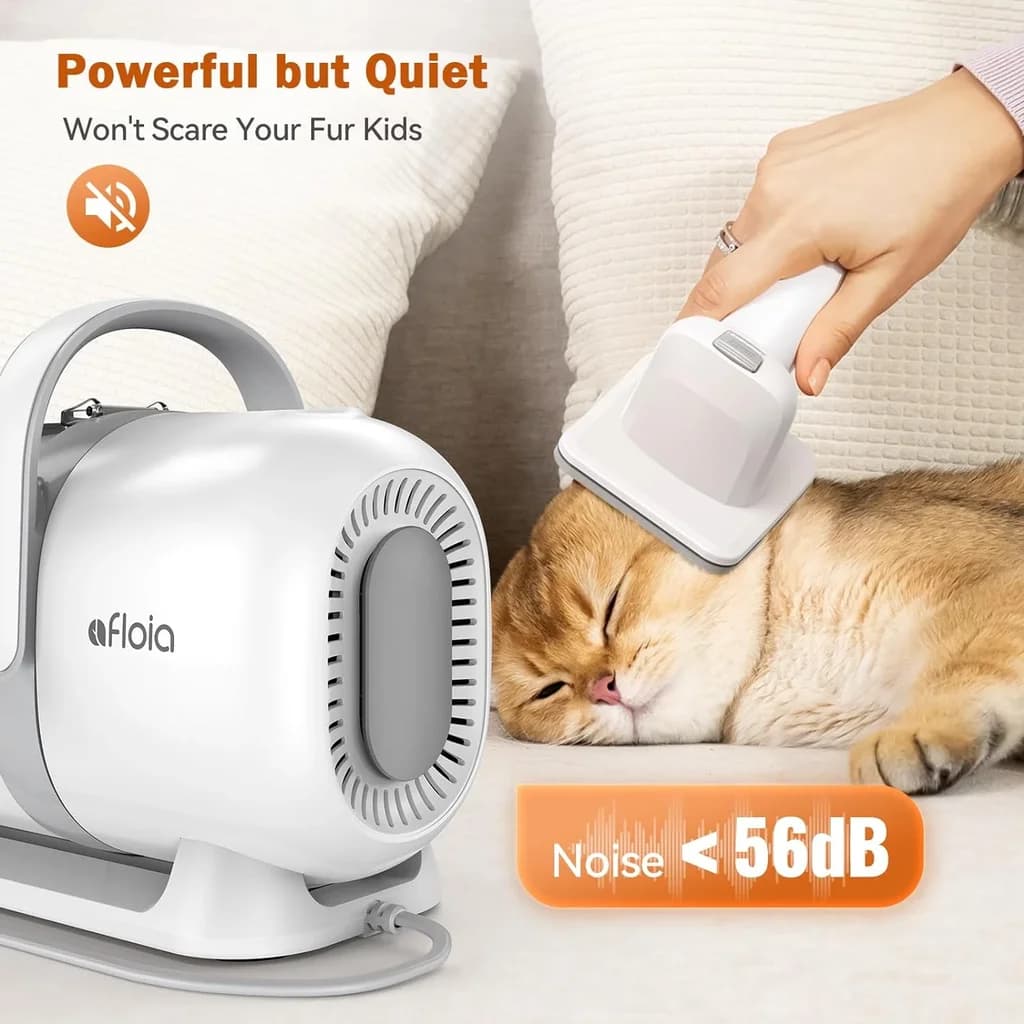Pet Grooming 4