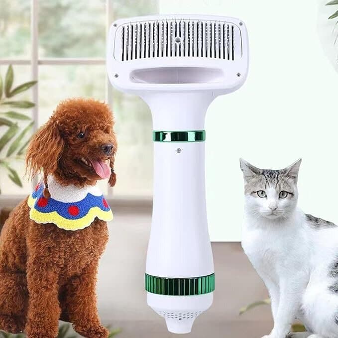 Pet Grooming 4