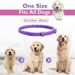 Calming Collar - 3pcs — photo 5