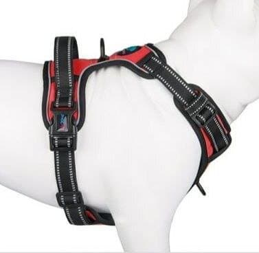 Dog Harness 2