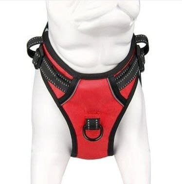 Dog Harness 3