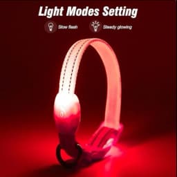 Pet LED Collar — photo 1