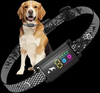 Dogs Anti Bark Collar