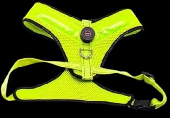 Led Harness