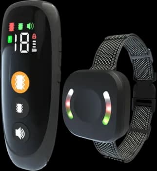 Dog Training Collar
