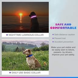Pet LED Collar — photo 3