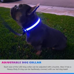 Pet LED Collar — photo 4