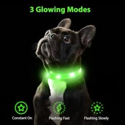 Pet LED Collar - L​ — photo 2