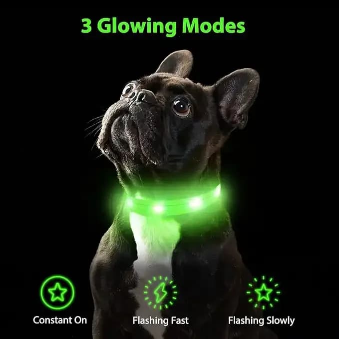 Pet LED Collar - L​ — photo 2