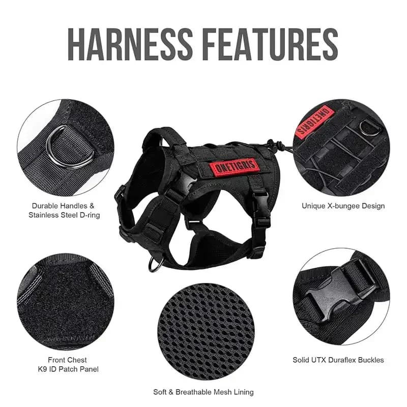 Harness - S​ — photo 6