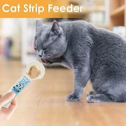 Pet Spoon — photo 9