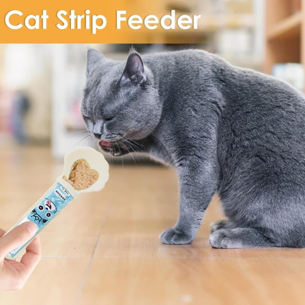 Pet Spoon — photo 9