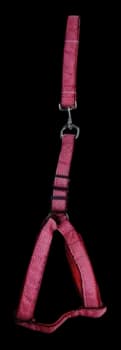 Leash & Harness - L​