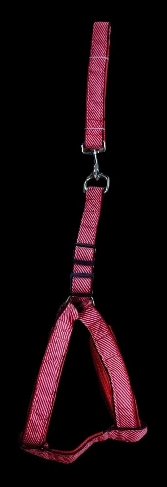 Leash & Harness - L​