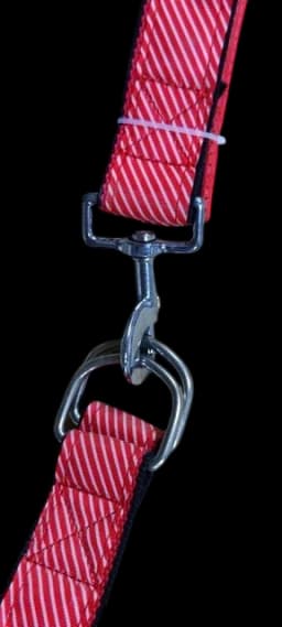 Leash & Harness - L​ — photo 2