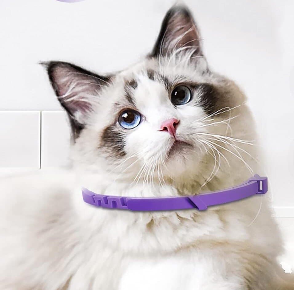 Calming Collar - 4pcs 2