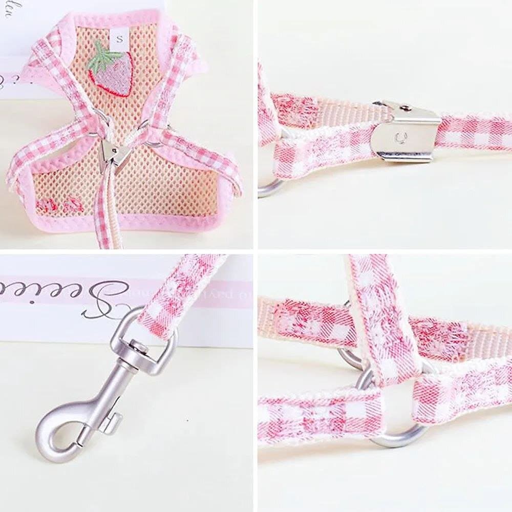 Leash & Harness 2