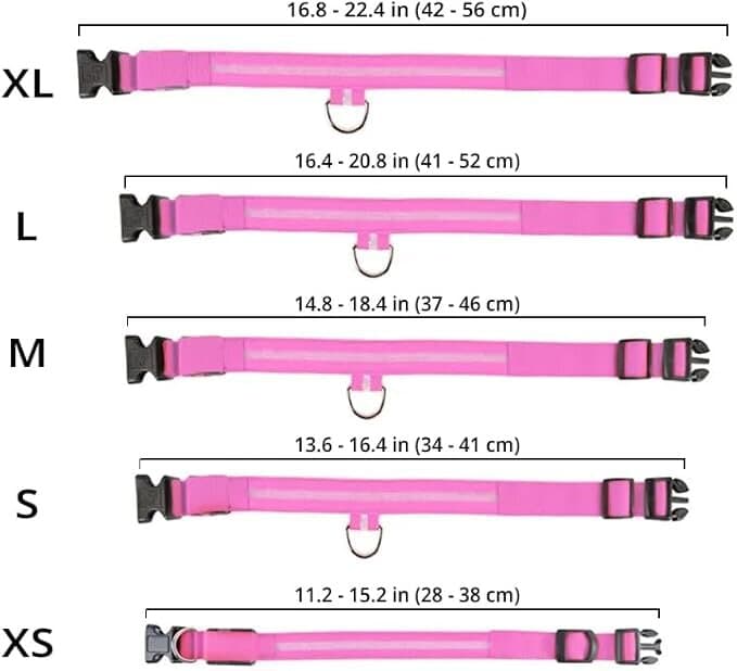Pet LED Collar 4