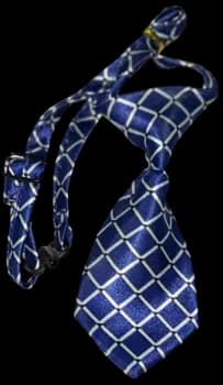 Blue Patterned