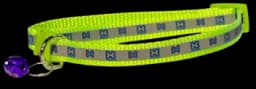 Neon Green