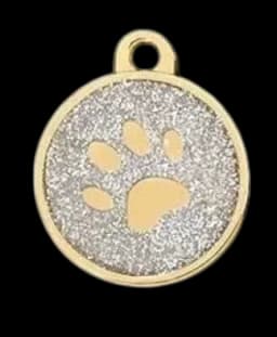 Gold/Silver Glitter