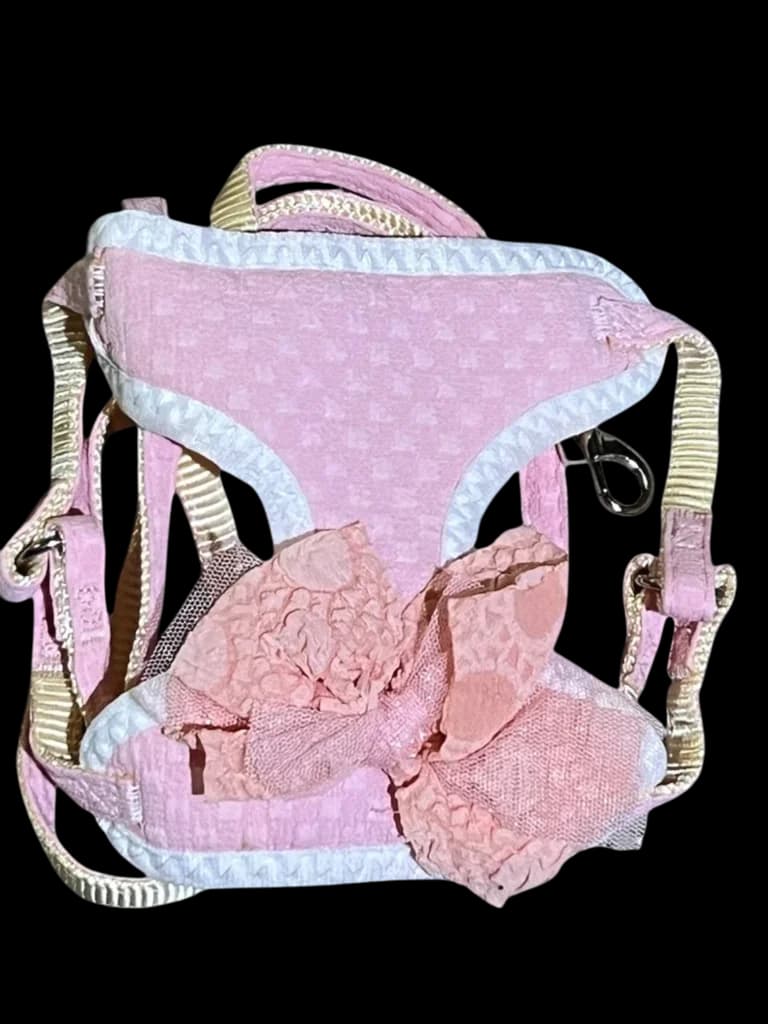 Leash & Harness - S​ 1