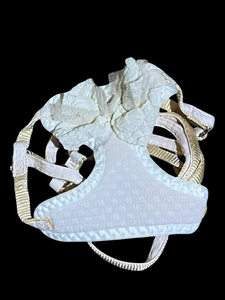 Leash & Harness - S​ 1