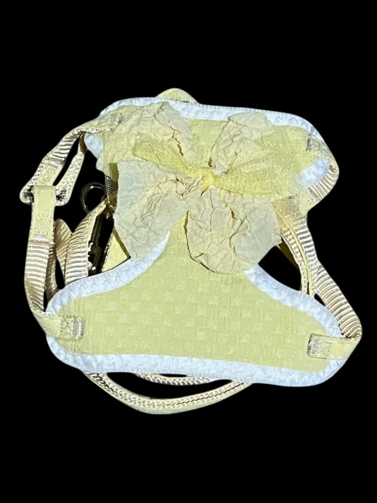 Leash & Harness - S​ 1