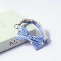 Light Blue/White Patterned