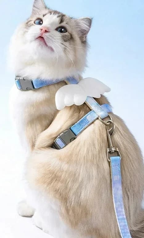 Harness - S​ 1