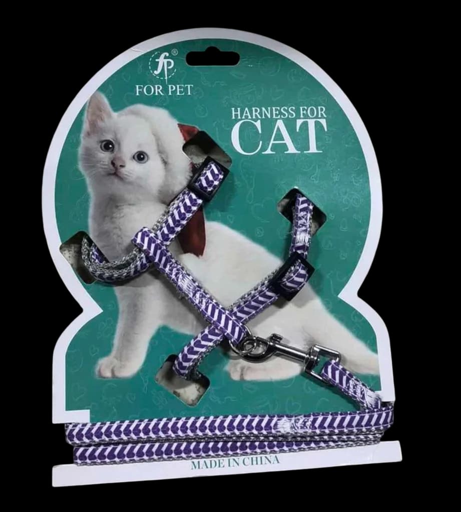 Harness & Leash 1