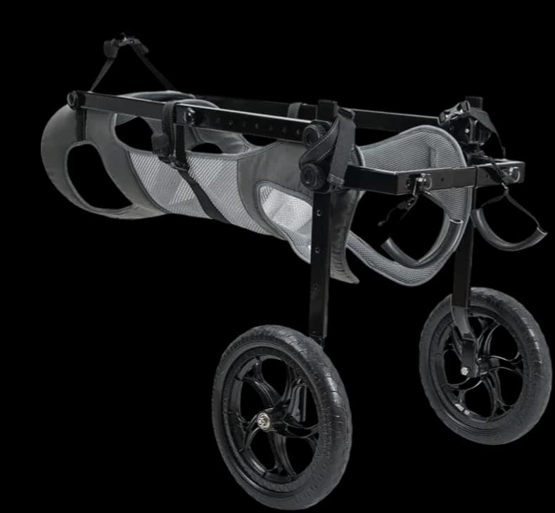 Dog Wheelchair 1