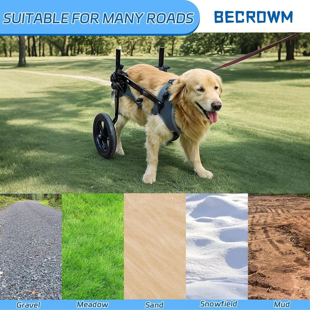 Dog Wheelchair 7