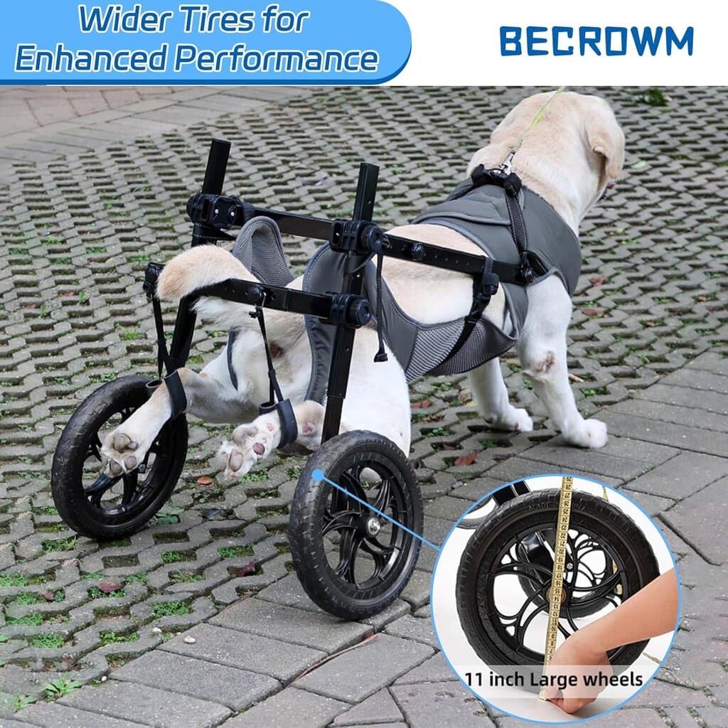 Dog Wheelchair 9