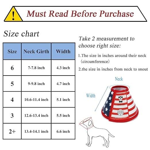 Safety & Protection Collar 2