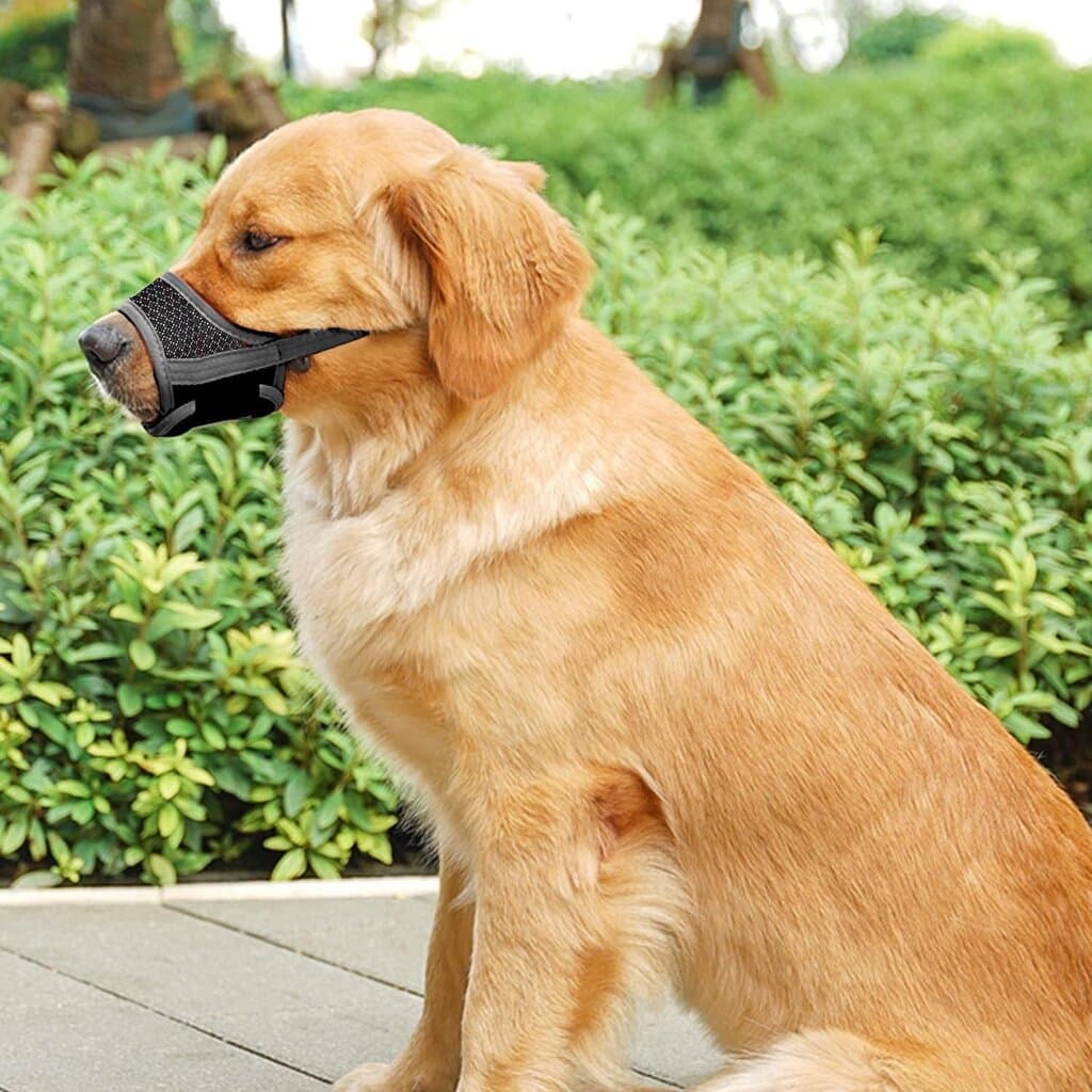 Dog Muzzle Prevent 7