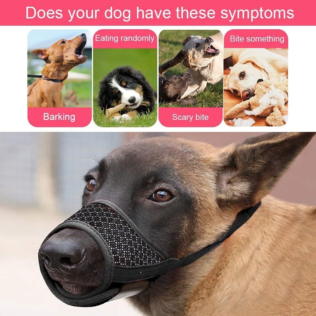 Dog Muzzle Prevent 2