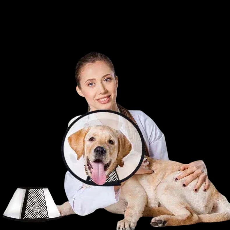 Safety & Protection Collar - M​ 6