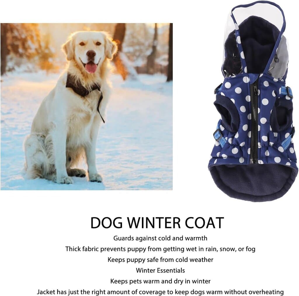 Pet clothes 3