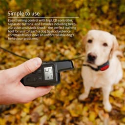 Dog Training Collar — photo 6