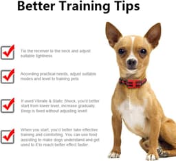 Dog Training Collar — photo 7