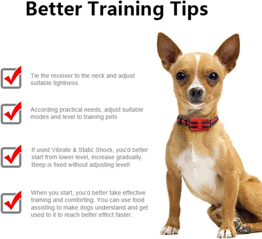 Dog Training Collar — photo 7