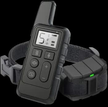 Dog Training Collar