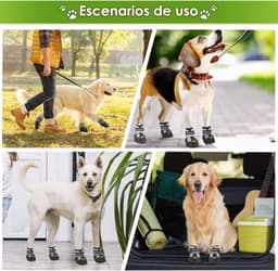 Dog Shoes — photo 6